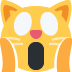 :weary_cat: :weary_cat: